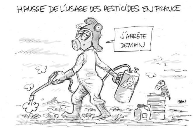 La France droguée aux pesti­cides