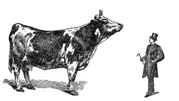 Rural ou la convergence des rustres - Conférence gesticulée