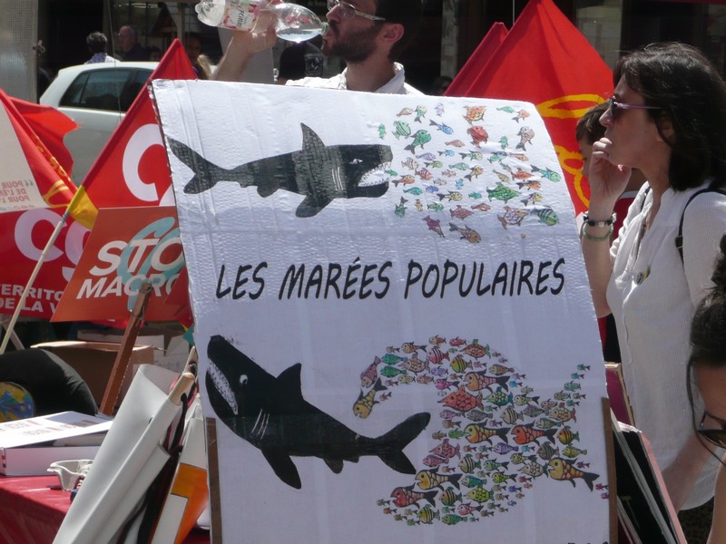 Quelques photos de la « Marée popu­laire » à Poitiers